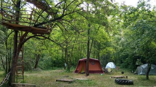 Different Belgrade Camping