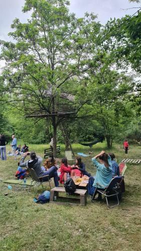 Different Belgrade Camping