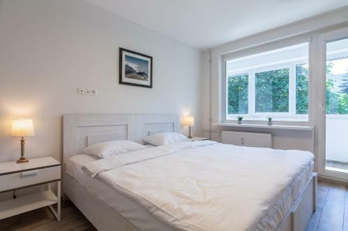 A New Day Apartment, By Cohost
