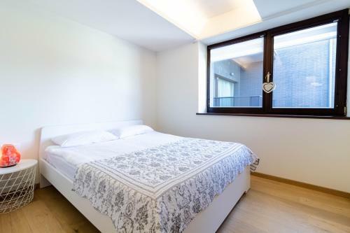 Avanti Apartment