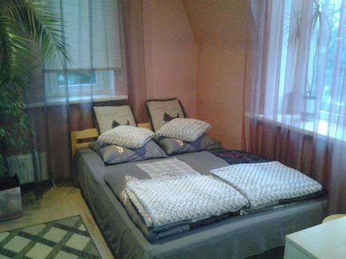 Hostal Dolphin