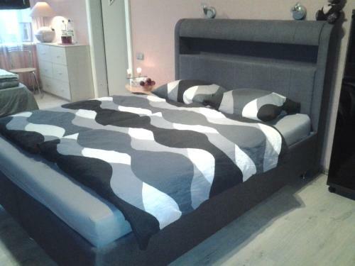 Hostal Dolphin