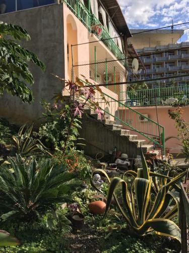 Hostal Sunset Guest House