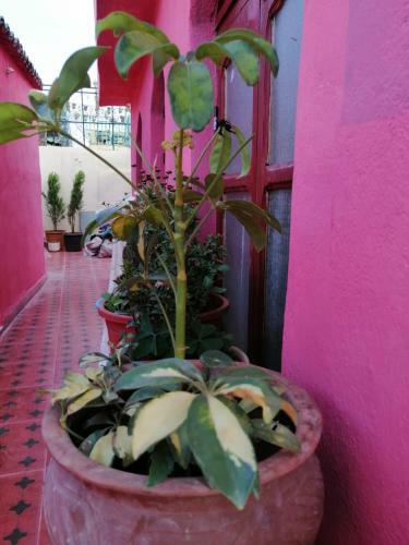 Hotel Fes Riad Hayat