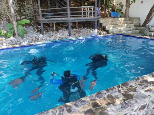Hotel Blue Ribbon Dive Resort