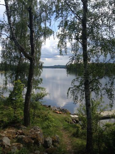 Sj�stuga Vid Bunn Gr�nna - Uddastugan