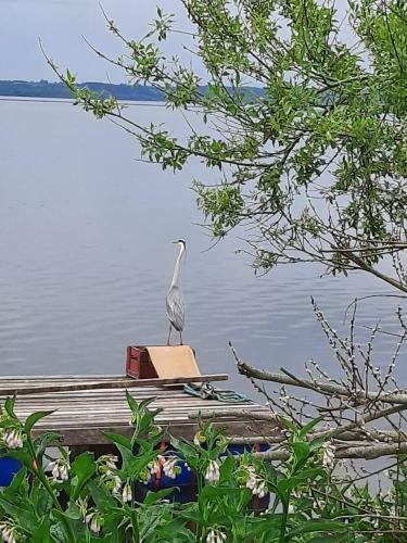 Sommerhus Moss�