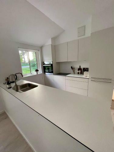 Sommerhus Moss�