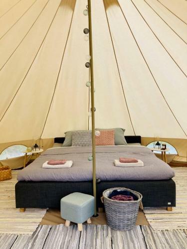 Space Glamp