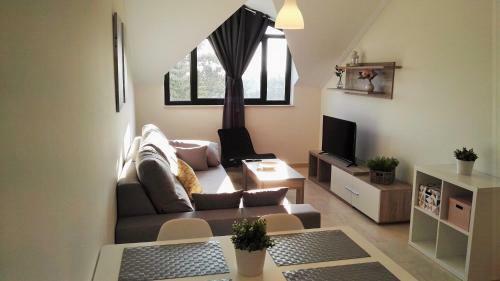 Apartamentos San Miguel