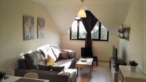 Apartamentos San Miguel