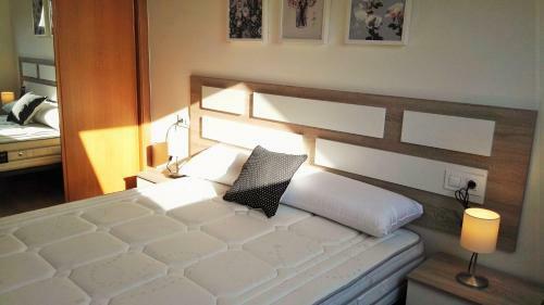 Apartamentos San Miguel
