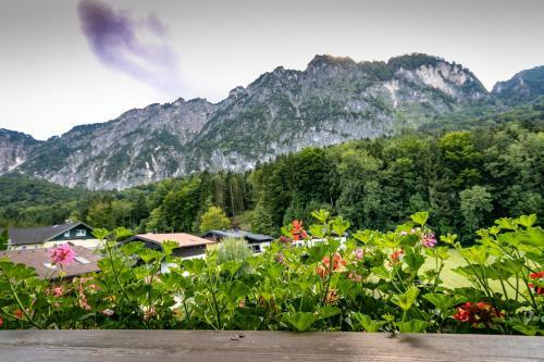 Bed & Breakfast Pension Bergfried