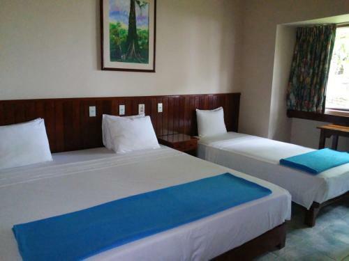 Lodge Ceiba Tops
