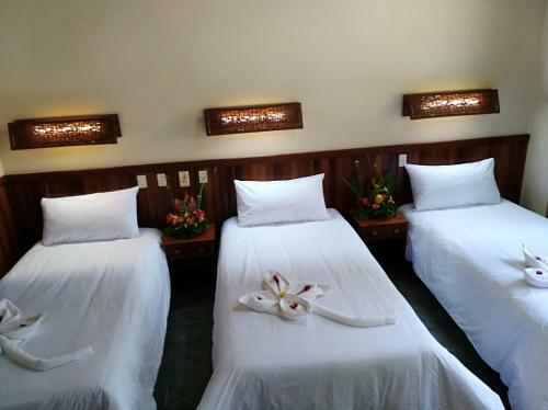 Lodge Ceiba Tops