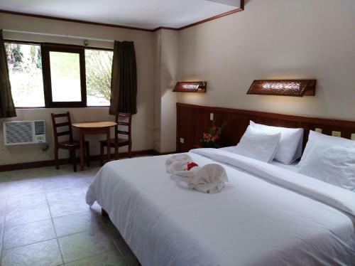 Lodge Ceiba Tops