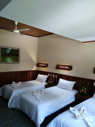 Lodge Ceiba Tops