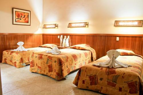 Lodge Ceiba Tops