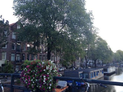 Great Apartment Amsterdam