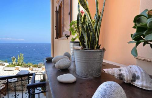Hostal Arion Hotel