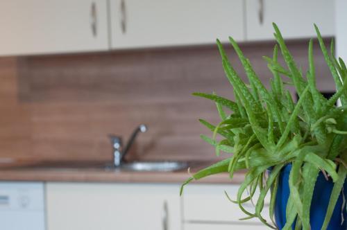 Apartamento Ferienwohnung Hotter