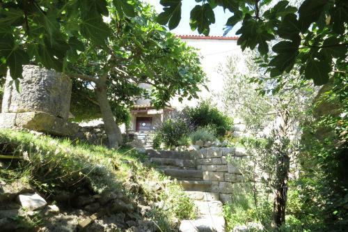 Apartman Biba