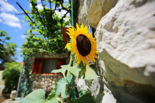 Apartamento Suncokret