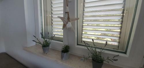 Apartamento Sunrise