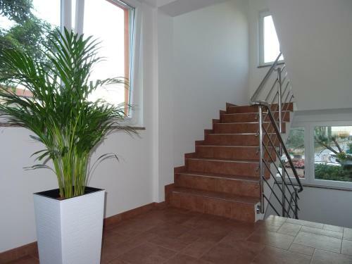 Apartments Orange Medulin