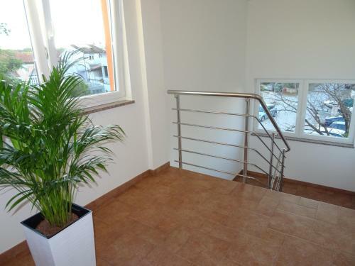 Apartments Orange Medulin