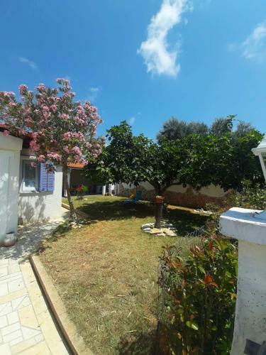 Vacation House Bimba - Pomer