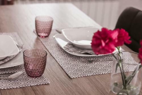 Apartment Radmila