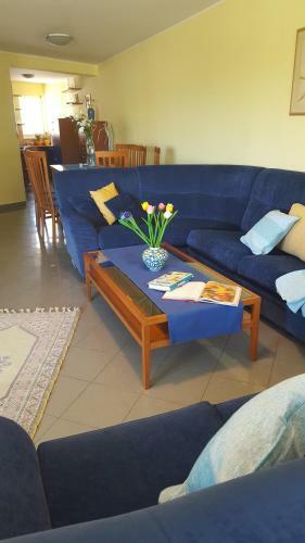 Apartamentos Blue Gortanova Bay