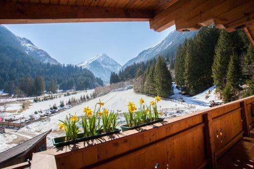 Hotel-gasthof Waldcaf�