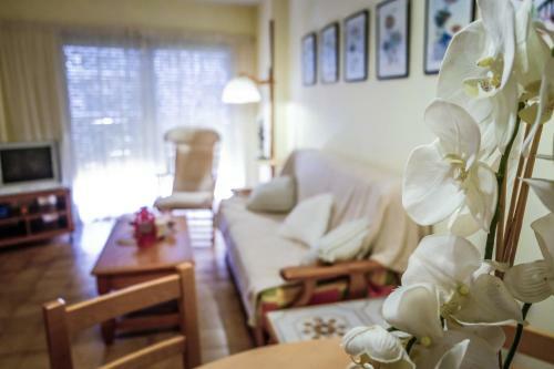 Apartamentos Marina Sol De Espa�a