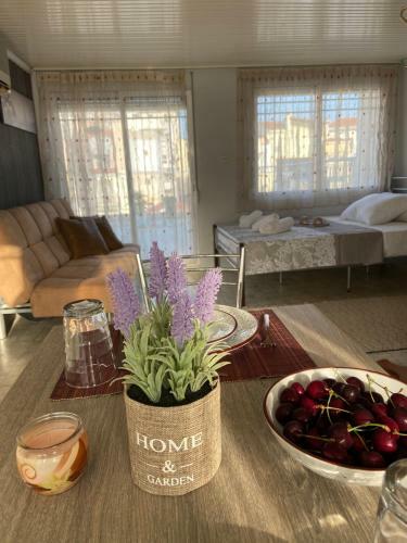 Hostal Xenia