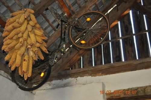 Apartamento Appartmenthaus Josefikeller