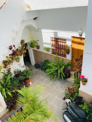 Apartamento Conil Centro