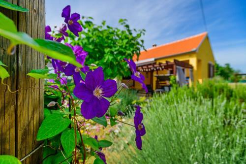 Sunny House
