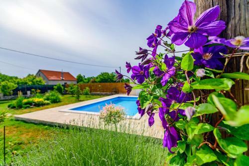 Sunny House