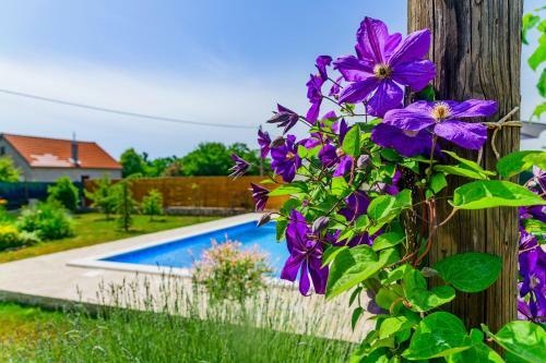 Sunny House