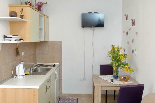 Apartments Ivana Bibinje Center