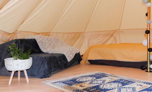 Glamping Cisnadioara