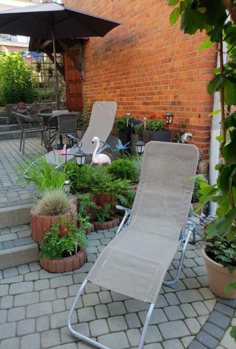 Apartament Olto Miko?ajki