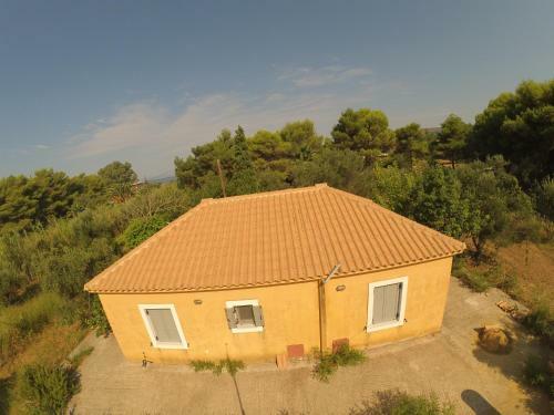 Olive Tree House