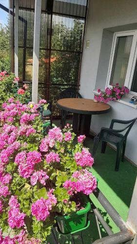Apartamento Noclegi Na Kazimierza