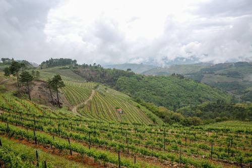 Agroturismo Quinta Da Corujeira