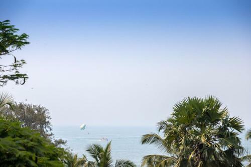 Hostal Zinhos Beach Resort Titos Lane
