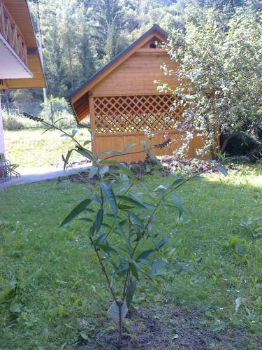 Apartament Epi Szczawnica