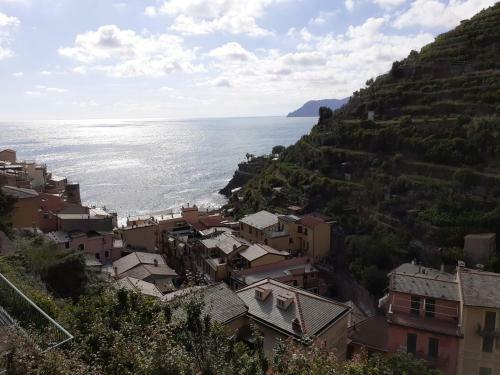 Scaglie Di Mare